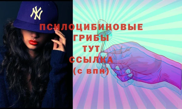 мяу мяу мука Надым