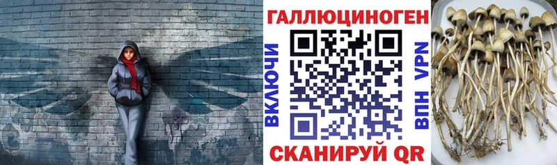 Псилоцибиновые грибы прущие грибы Яблоновский